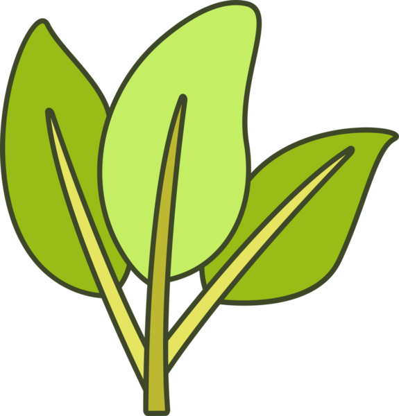 Foliage and Natural Leaves Illustration