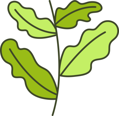 Foliage and Natural Leaves Illustration