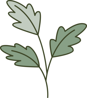 Dekoratif Şubeler ve Yapraklar İllüstrasyonu