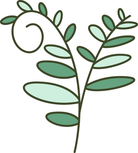 Foliage and Natural Leaves Illustration