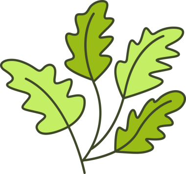 Foliage and Natural Leaves Illustration
