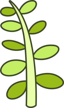 Foliage and Natural Leaves Illustration