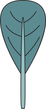 Tropikal Yaprak İllüstrasyonu Clipart