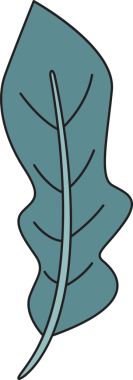 Tropikal Yaprak İllüstrasyonu Clipart