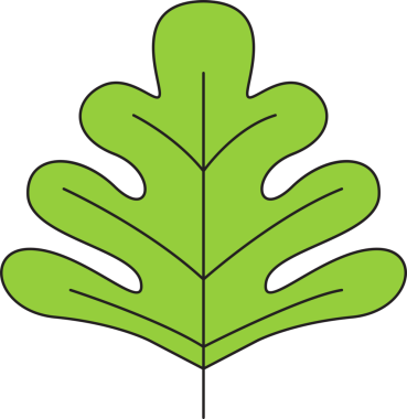 Tropikal Yaprak İllüstrasyonu Clipart