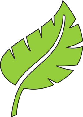 Tropikal Yaprak İllüstrasyonu Clipart