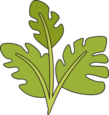 Tropikal Yaprak İllüstrasyonu Clipart