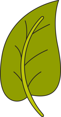 Tropikal Yaprak İllüstrasyonu Clipart