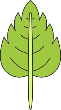 Tropikal Yaprak İllüstrasyonu Clipart