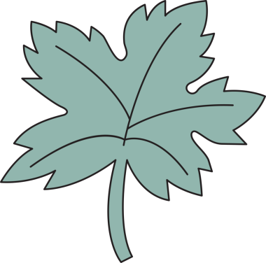 Tropikal Yaprak İllüstrasyonu Clipart