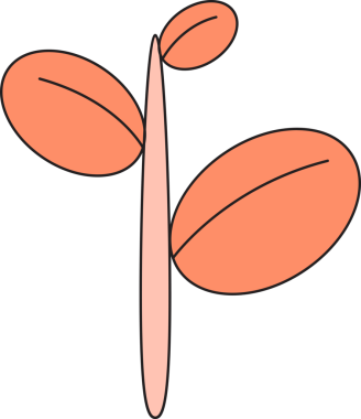 Tropikal Yaprak İllüstrasyonu Clipart