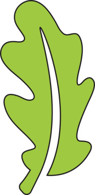 Tropikal Yaprak İllüstrasyonu Clipart