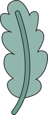 Tropikal Yaprak İllüstrasyonu Clipart