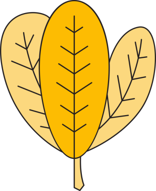 Tropikal Yaprak İllüstrasyonu Clipart