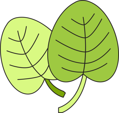 Tropikal Yaprak İllüstrasyonu Clipart