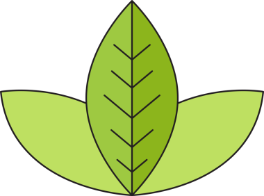 Tropikal Yaprak İllüstrasyonu Clipart