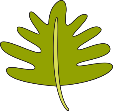 Sonbahar Yaprak İllüstrasyonu Clipart