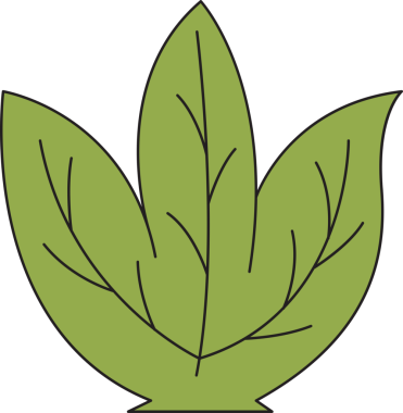 Tropikal Yaprak İllüstrasyonu Clipart