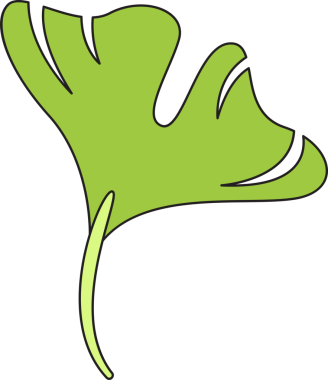 Tropikal Yaprak İllüstrasyonu Clipart