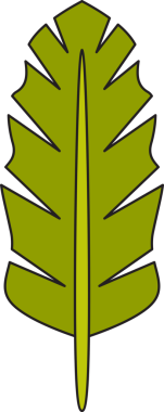 Sonbahar Yaprak İllüstrasyonu Clipart