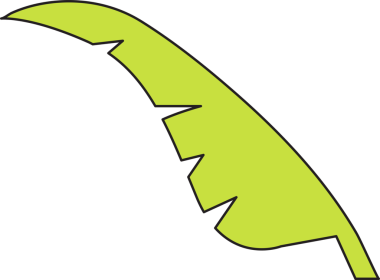 Tropikal Yaprak İllüstrasyonu Clipart