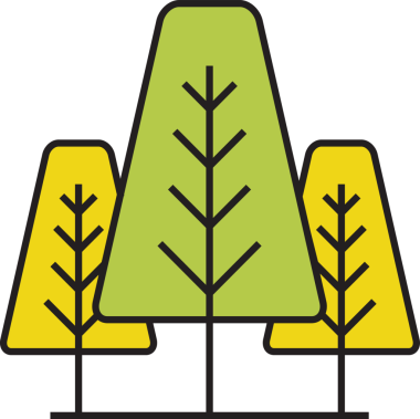 Noel ve Çam Ağacı Çizimi