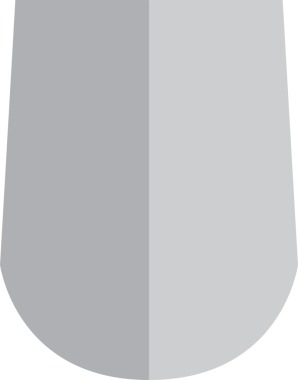 Kalkan Rozet Simgesi İllüstrasyonu