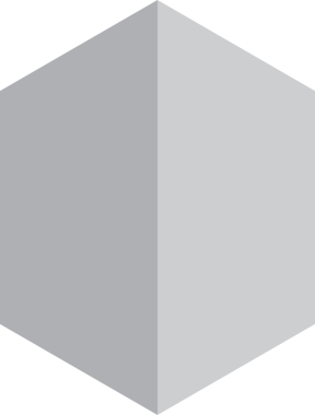 Kalkan Rozet Simgesi İllüstrasyonu