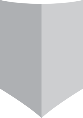 Kalkan Rozet Simgesi İllüstrasyonu