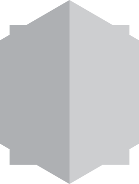 Kalkan Rozet Simgesi İllüstrasyonu