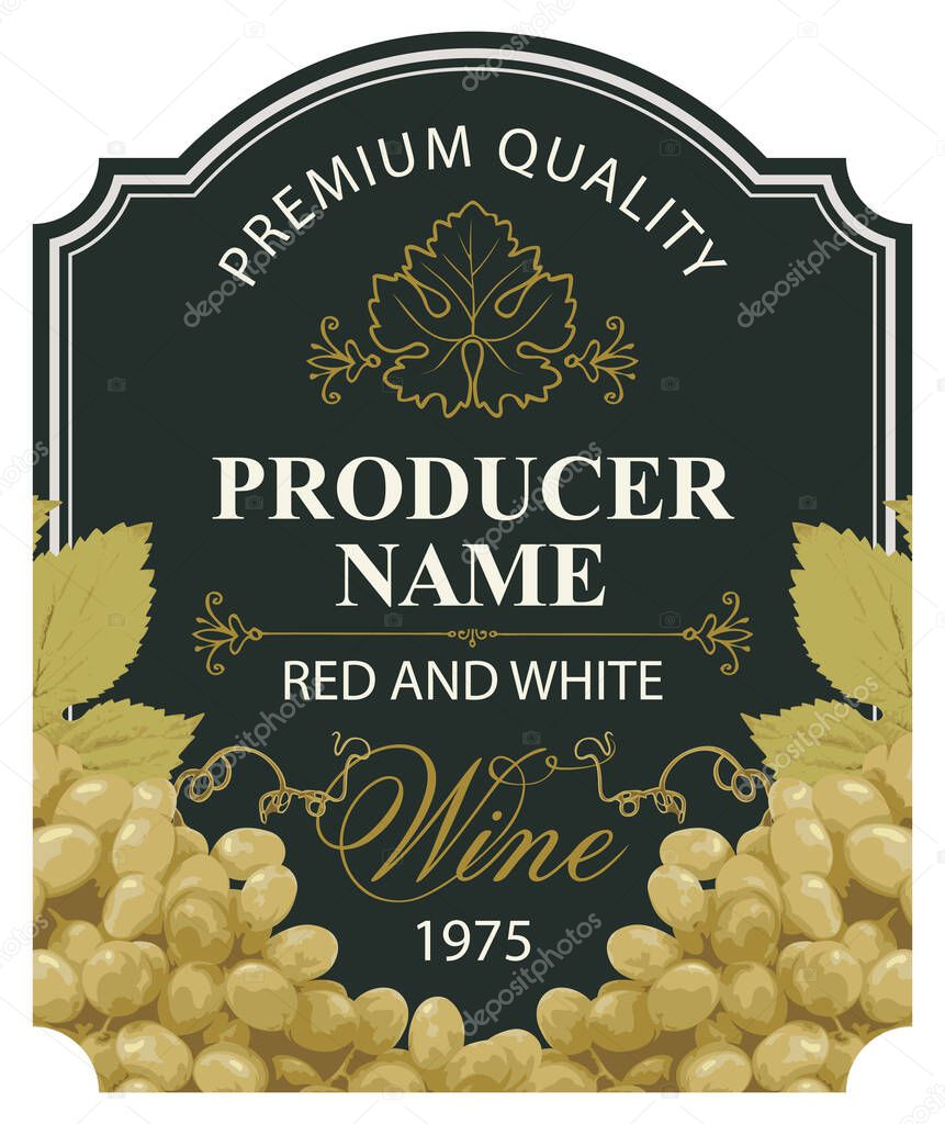 Wine labels with realistic bunches of delicious green grapes and calligraphic inscriptions in figured frames on various backgrounds. Vector illustration. Collection of quality wines