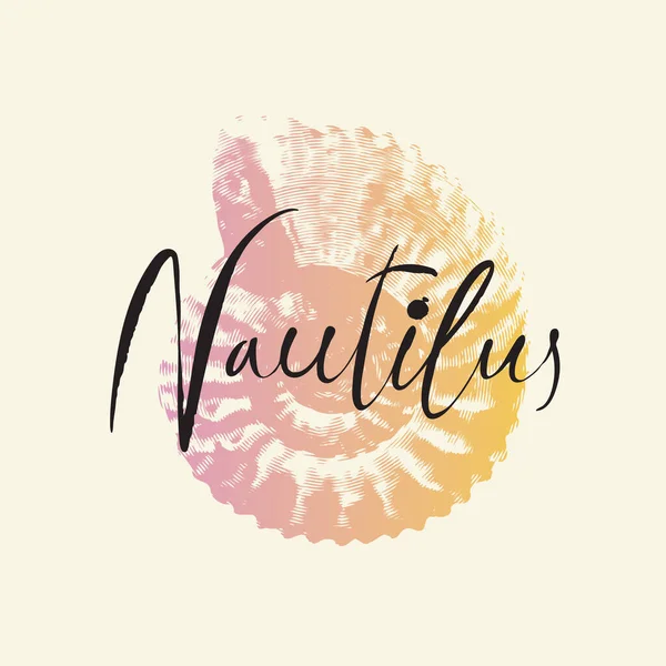Векторный Логотип Рисунком Древних Окаменелых Аммонитовых Раковин Nautilus Pampilius Экспонаты — стоковый вектор