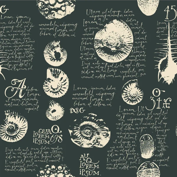 Vecteur Fond Motif Sans Couture Avec Photo Coquilles Ammonite Anciennes — Image vectorielle