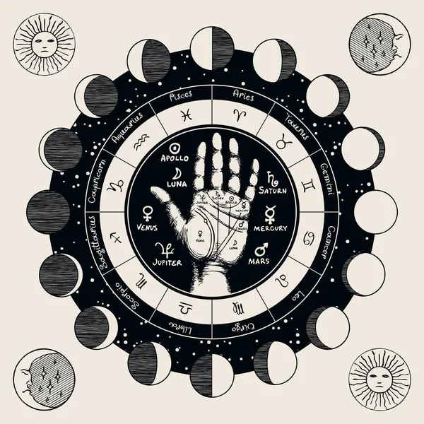 Vector Circle Zodiac Signs Human Hand Signs Palm Palmistry Sun — Stock Vector