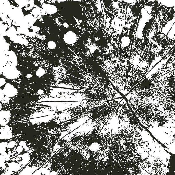 Абстрактный Квадрат Древесины Пилил Порезы Поперечные Сечения Стволов Деревьев Векторный — стоковый вектор