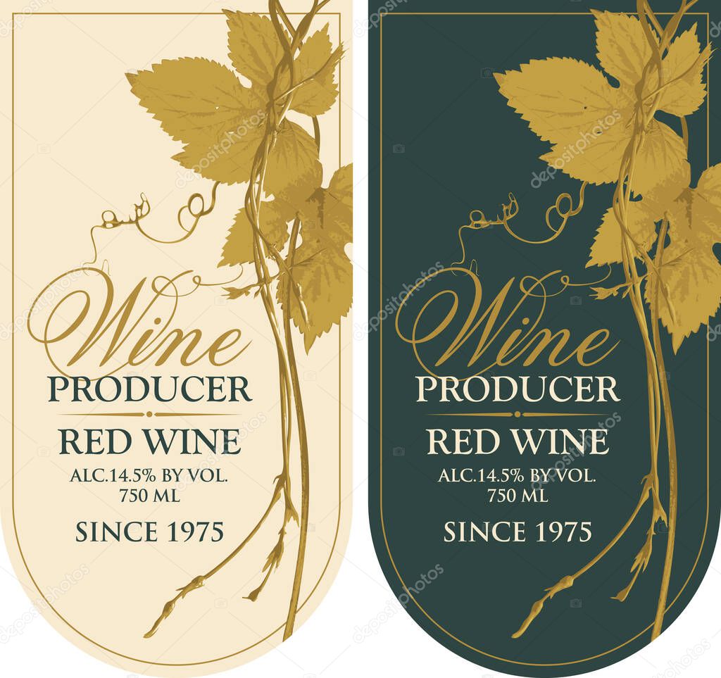 Set of two vector labels for red wine with vine leaves, grapevine and calligraphic inscriptions in retro style
