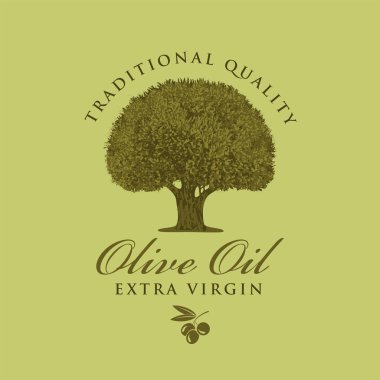 Gerçekçi zeytin ağacı ve yeşil arka planda retro tarzı el yazısıyla yazılmış ekstra bakire zeytin yağı için vektör pankartı veya etiket