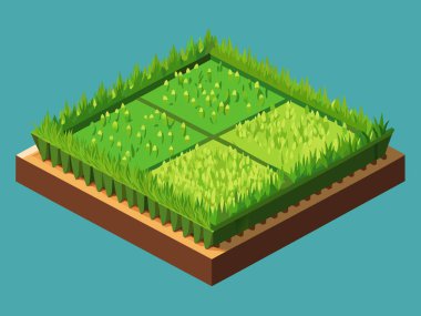 Rectangle Of Green Fresh Grass vector