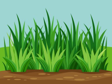 Summer green grass background vector.