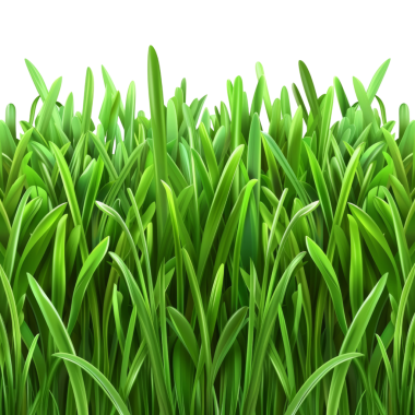 Yüksek çözünürlüklü yeşil çimen bıçakları çevre dostu tasarımlar, doğa temaları ve botanik geçmişleri için mükemmel..
