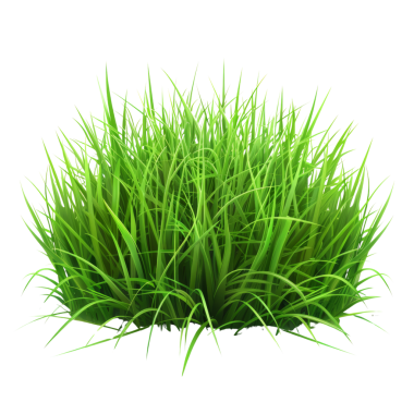 Canlı yeşil çim çalılarının yüksek çözünürlüklü görüntüsü botanik, bahçe ve doğayla ilgili tasarımlar için ideal..