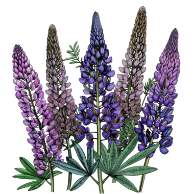 Büyüleyici botanik bir illüstrasyon. Canlı çiçekler sergileniyor. Doğa aşıkları ve bahçe meraklıları için ideal..