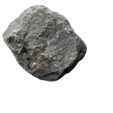 Doğal kayalarla çevrili çarpıcı bir çiçek huzurlu ve resimli bir bahçe sahnesi yaratıyor. Doğa, peyzaj ve açık hava temaları için ideal..