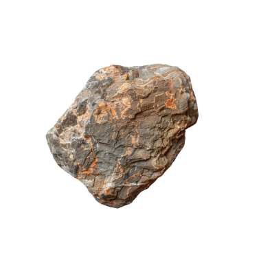 Doğal bir kayayı çevreleyen, doğa, bahçe ve peyzaj teması için ideal çiçeklerin çarpıcı bir görüntüsü..