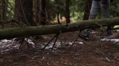 A woman in hiking boots oversteps a tree in the forest. Close up of girls feet in winter trackers walking outdoors.
