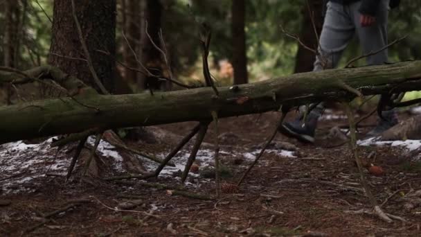 Μια Γυναίκα Μπότες Πεζοπορίας Ξεπερνά Ένα Δέντρο Στο Δάσος Κοντινό — Αρχείο Βίντεο
