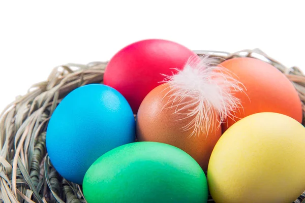 Huevos Pascua Multicolores Nido Natural Con Plumas Gallina Aisladas Sobre Imagen De Stock