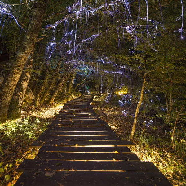 Bajkowy Piękny Park Drewnianą Ścieżką Drzewami Leśnymi Ozdobiony Magicznymi Lampami Obrazy Stockowe bez tantiem