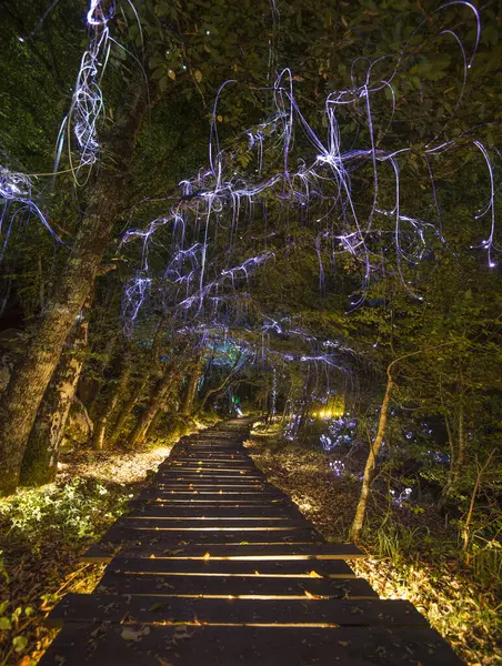 魔法のランプやガーランドで装飾された木製の道と森林の木が美しい公園 自然の風景の外側にある広場 ライトランド モンテネグロ ストック写真