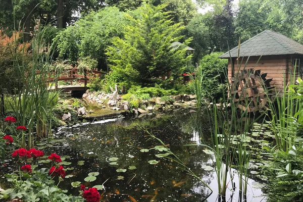 Beautiful garden or backyard with a little lake and fish, a lot of greenery.